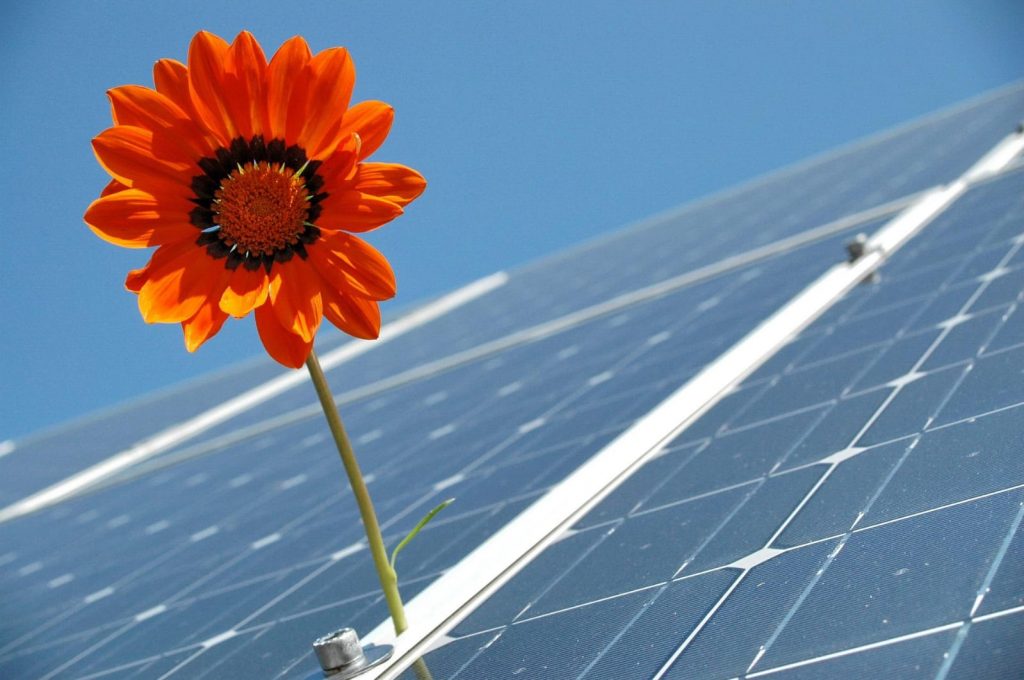 PANELES SOLARES