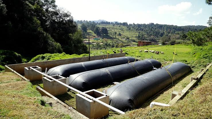 Biodigestores